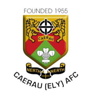 施白兰凯尔特人